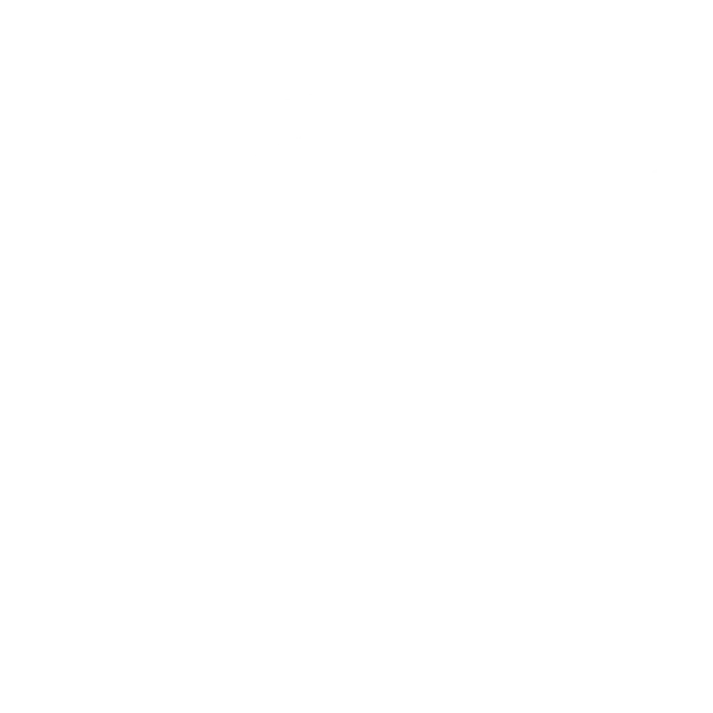 Bermondsey Street Festival Logo White