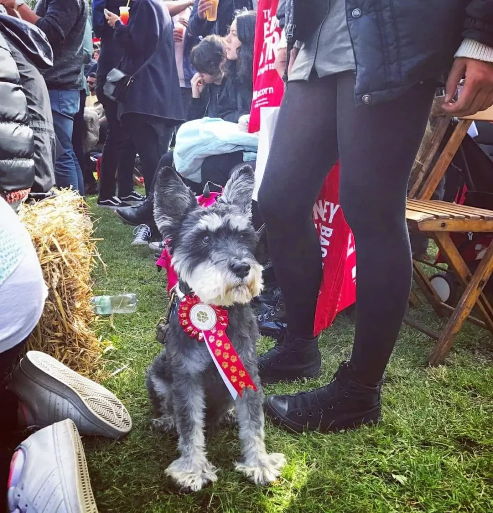 FB_IMG_1600410499672