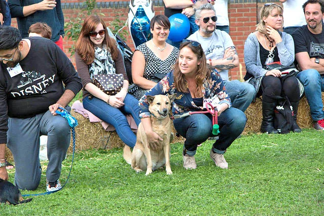 The Holly & Lil Dog Show